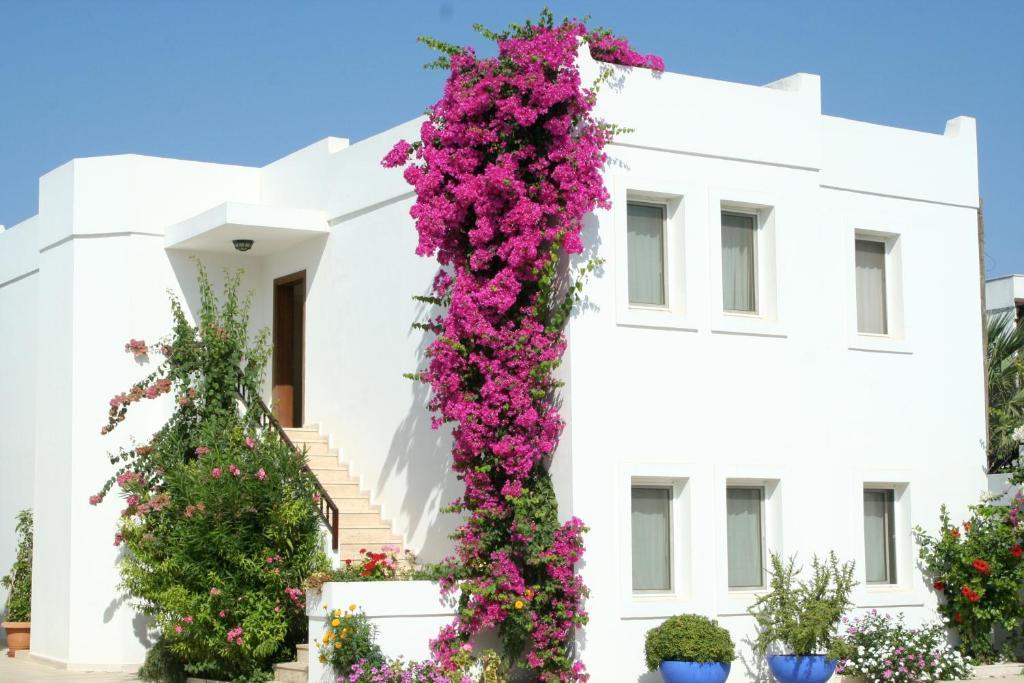 Seckin Konaklar Bodrum Exteriér fotografie